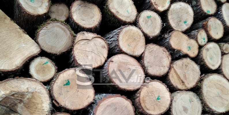 Srbijašume: Kubik drva 50 odsto jeftiniji, za najugroženije cena 2.900 dinara