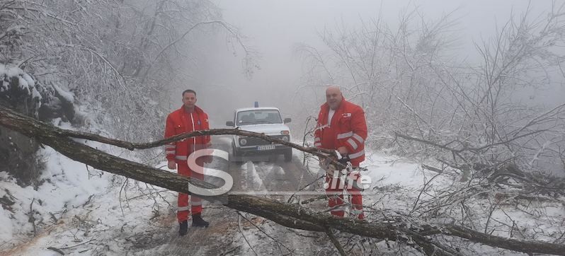 DRAMA NA PUTU DO PACIJENTA (video)