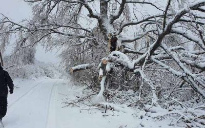 Pred nama ledeni dani