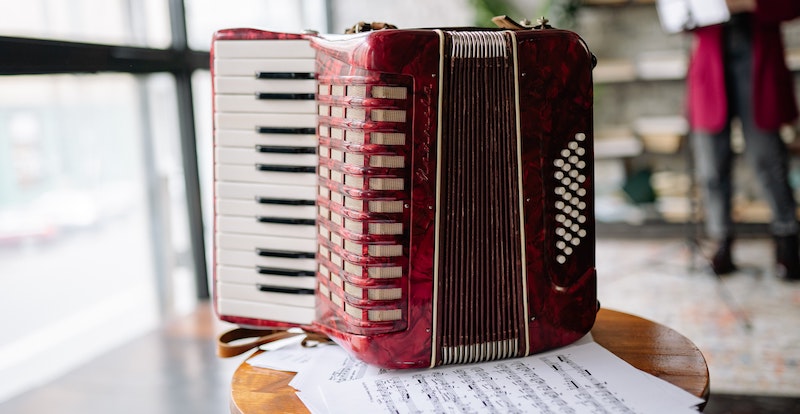 NA LESKOVAČKOM LETU TAKMIČENJE HARMONIKAŠA