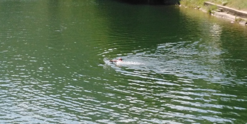 POČELO КUPANJE NA VLASOTINAČКOM MORU