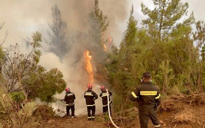 Požar ponovo buknuo u Slišanu, evakuisano desetak porodica