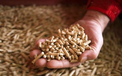 Pelet dobio konkurenciju i to jeftiniju