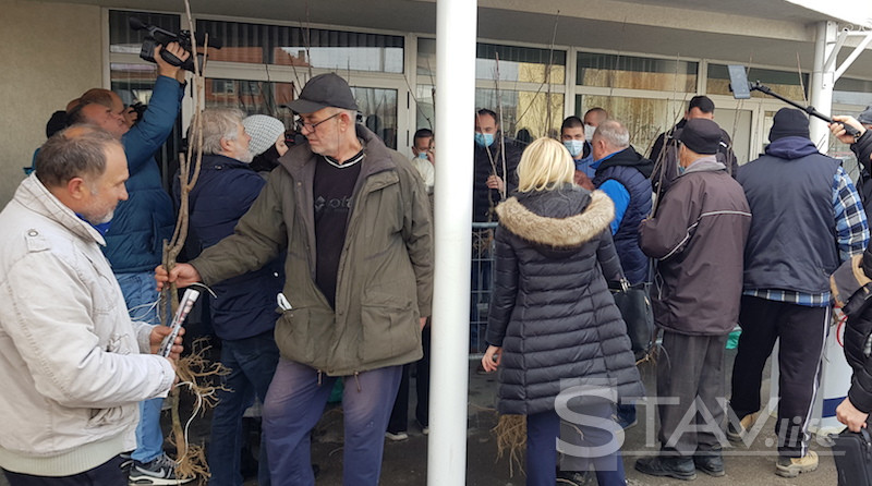 Leskovački naprednjaci podelili 300 sadnica vodaća