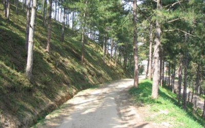 Pozdrav proleću stazama zdravlja u Leskovcu