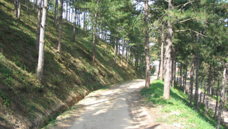 Pozdrav proleću stazama zdravlja u Leskovcu