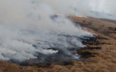 POŽAR U ATARIMA DRĆEVCA: GORELO NISKO RASTINJE, OBRADIVE POVRŠINE, VOĆNJACI I DEO ŠUME