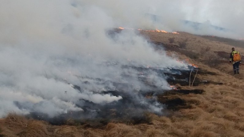 Vlasotinčani odlučili – Poljoprivrednik koji pali strnjišta ostaje bez subvencija dve godine