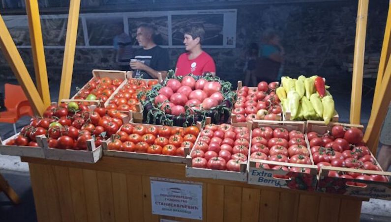 Lebančani prezadovoljni „Paradajz festom“ – Najteži paradajz preko kilo i po