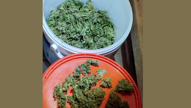 U vikendici uzgajao kanabis i sakrivao oružje