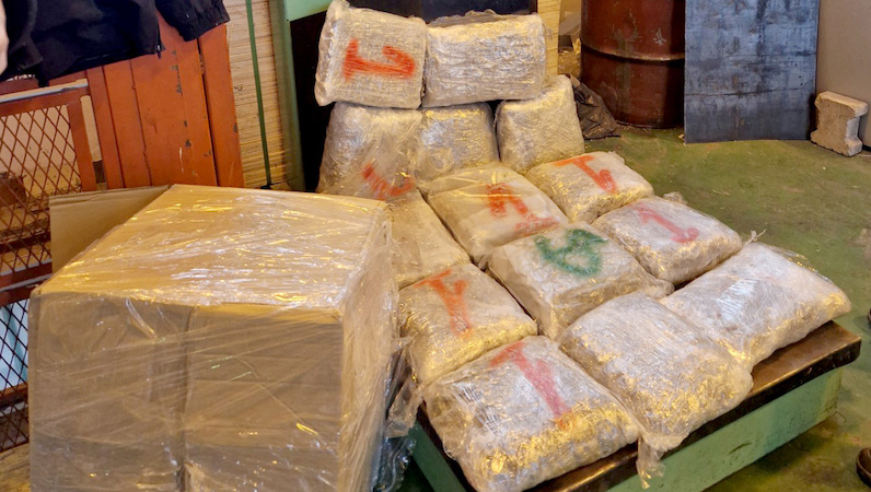 Zaplenjeno oko 220 kilograma marihuane