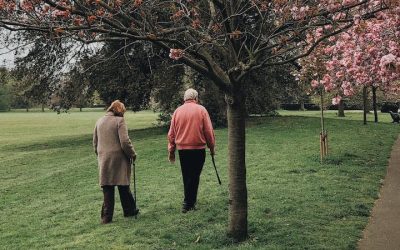 Penzije u Srbiji od danas su veće za 12,2 odsto