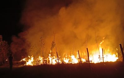 Svi požari na teritoriji Leskovca ugašeni