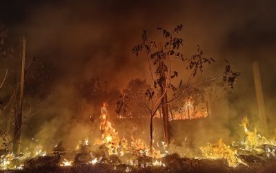 Veći rizik od požara – Pojačane kontrole na teritoriji Leskovca