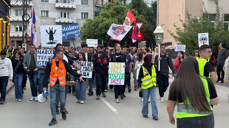 Poziv na izbore i sa protesta u Leskovcu