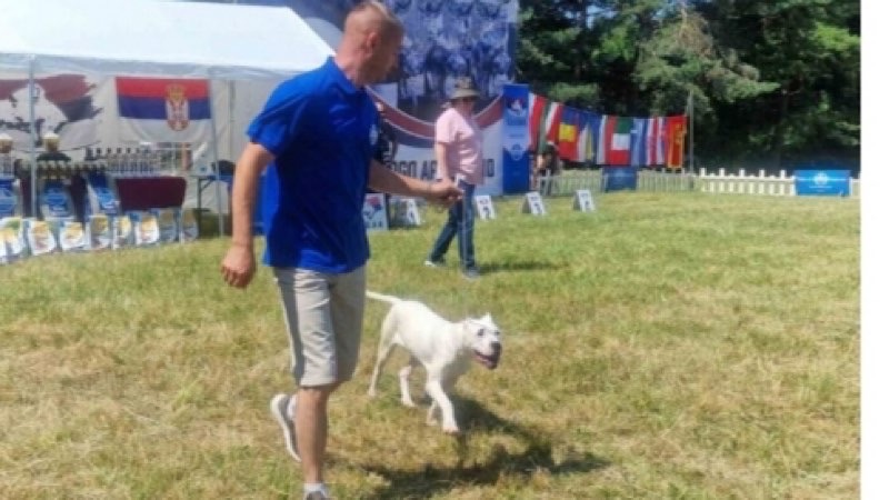 Predstavljene argentiske doge iz zemlje iminostranstva na takmičenju u Velikoj Kopašnici