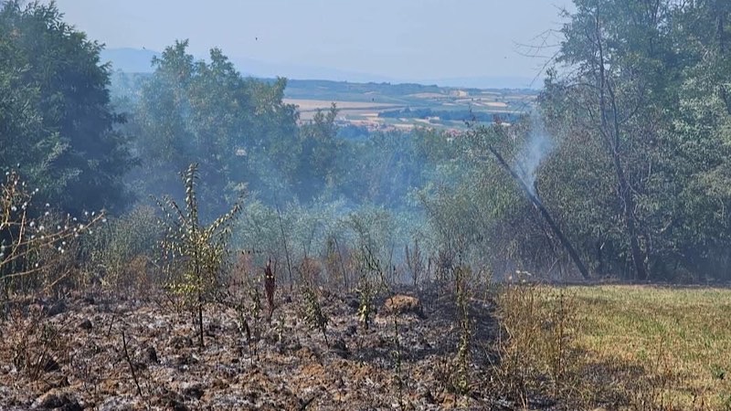Gori iznad Gornjeg Sinkovca i Vlasa, požar se širi