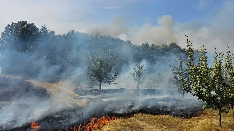 I danas požari u okolini Leskovca: Gori kod Bunuškog Čiflluka, Oraovice i Slavujevca