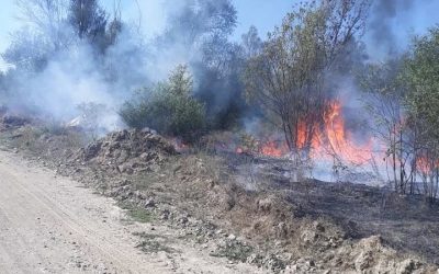 Požar na područiju Manojlovca i Kaštavara kreće se prema Podrimcu i Dušanovu