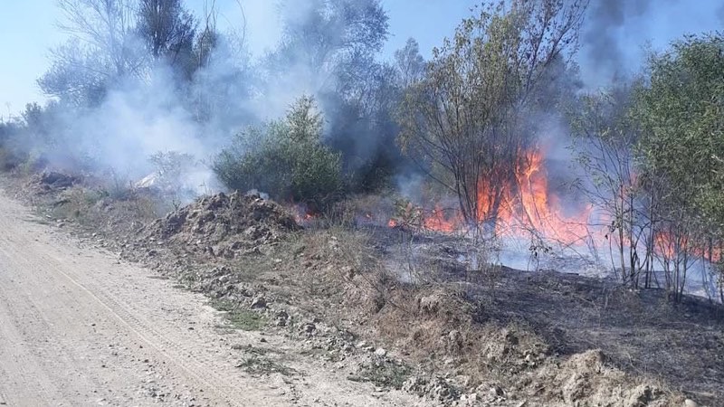 Požar na područiju Manojlovca i Kaštavara kreće se prema Podrimcu i Dušanovu