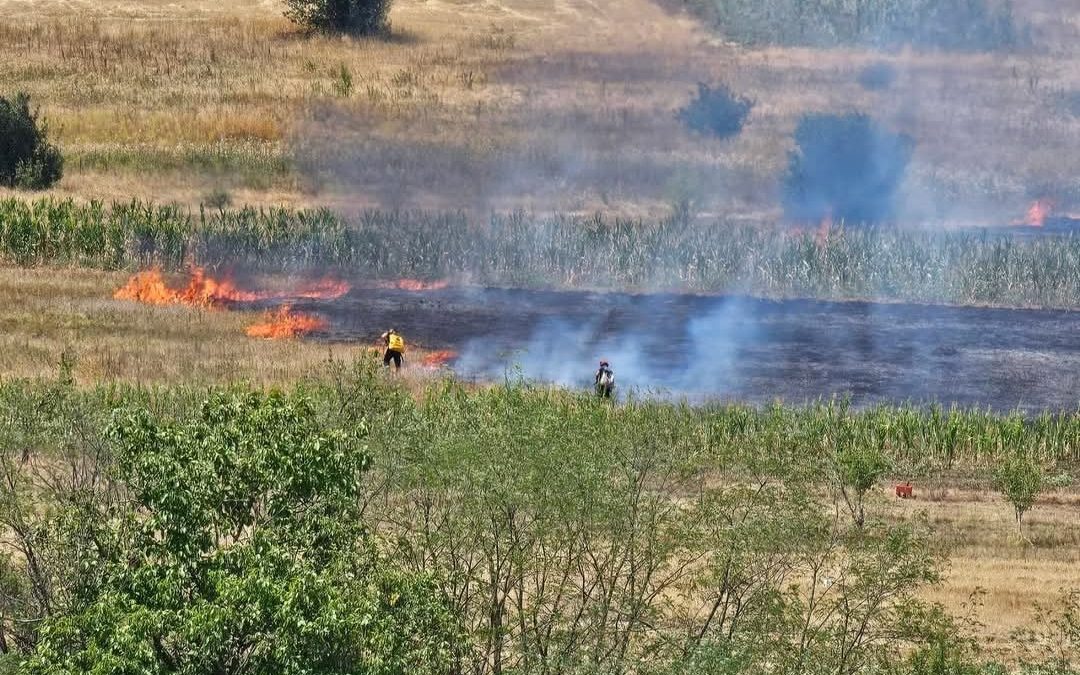 Požar u Razgojni iza groblja