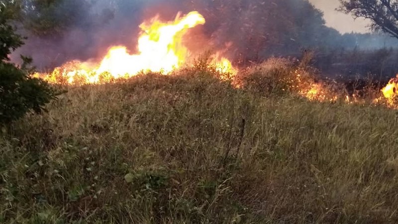 Požari u Velikoj Grabovnici, Maloj Kopašnici i na ulazu u Vlasotince