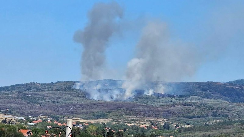 Požar u Babičkom se ne smiruje, vetar otežava gašenje