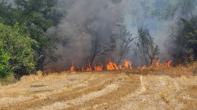 Požar u Razgojni se širi prema Babičkom, vetar otežava gašenje