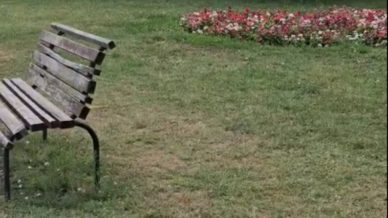 Nakon pisanja Stava iz Komunalaca tvrde da se park kod stadiona čisti svaki dan (video)