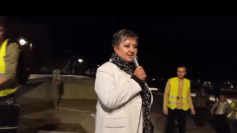 Jovanović: Studenti su voćka čudnovata, zub polomiš a njima ništa ne možeš