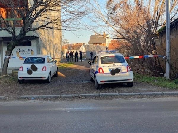 Mladić koji je ubio Andriju osuđen na 12 godina zatvora
