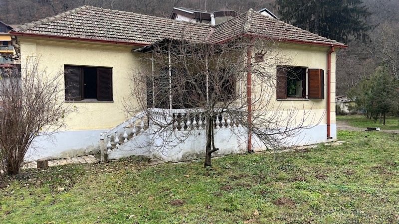 Vera Pešić i misterija prošlih vremena