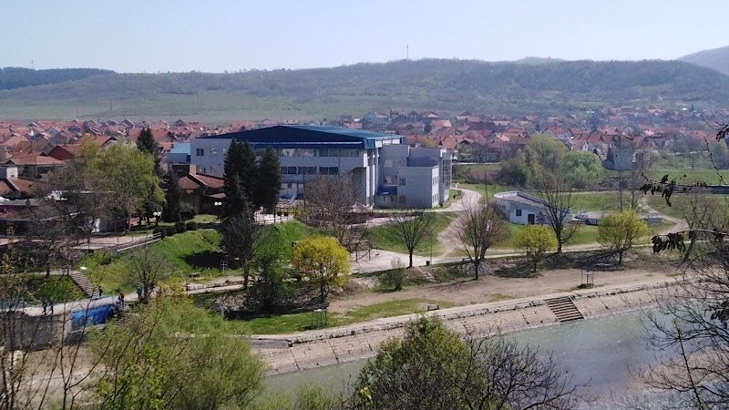 Opština Vlasotince uvodi stipendije za sportiste