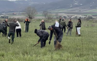 Akcija pošumljavanja – Zasađeno preko 3.700 sadnica