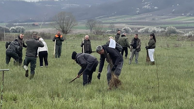Akcija pošumljavanja – Zasađeno preko 3.700 sadnica