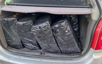 Pronađeno 130 kilograma rezanog duvana bez akciznih markica