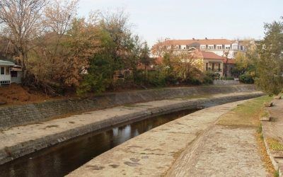 „Svi za jednog jedan za sve“ – Drva koja se seku na obali Veternice prodaju se u blizini trga Crnog Marka