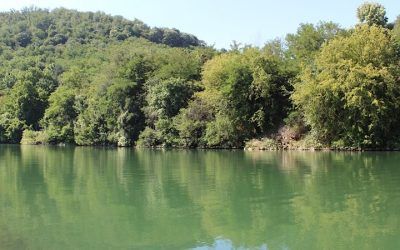 Suzbijanje larvi komaraca- Tretman nije štetan za pčele