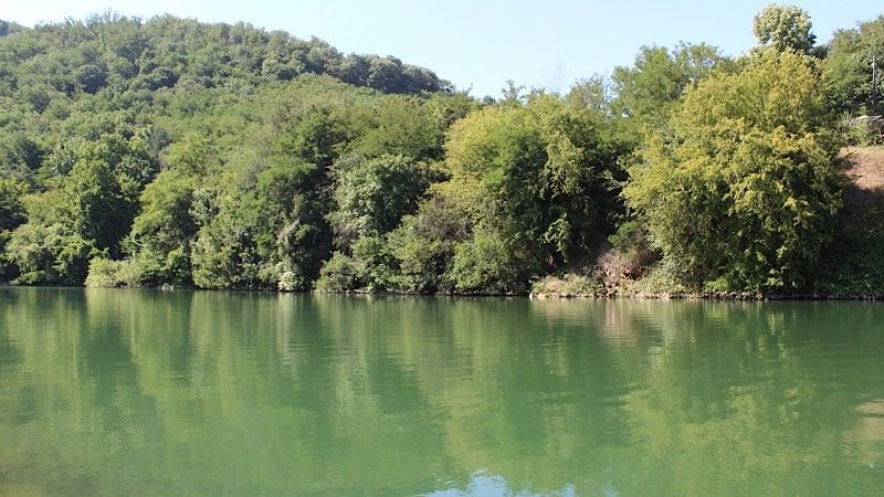 Suzbijanje larvi komaraca- Tretman nije štetan za pčele