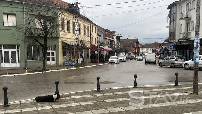 Između svakodnevnih problema i razvojnih očekivanja
