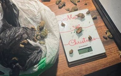 Velika zaplena – Pronađeni kokain, marihuana, oružje i novac