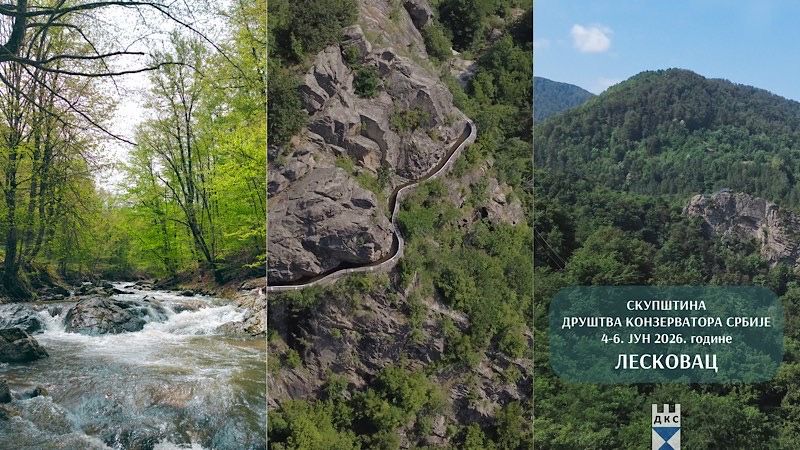 Izložba „Šakaste grivne – monumentalni nakit praistorijskog Balkana“ u Narodnom muzeju u Leskovcu