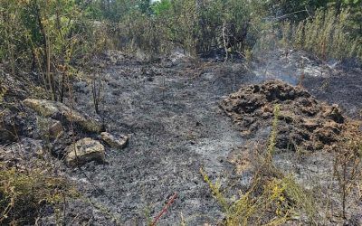 Požar na otvorenom prostoru u Zelenoj zoni, u blizini fabrika Aptiv i Erenli, podrška lokalne zajednice od presudnog značaja za sprečavanje ovakvih pojava