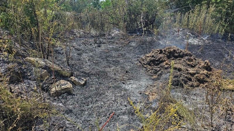 Požar na otvorenom prostoru u Zelenoj zoni, u blizini fabrika Aptiv i Erenli, podrška lokalne zajednice od presudnog značaja za sprečavanje ovakvih pojava