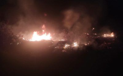 Požari na otvorenom – Juče gorelo u Bogojevcu, Golemoj Njivi i Draškovcu
