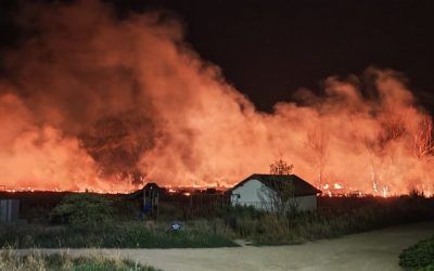 Požar kod Grdanice: Vatrogasci i meštani zajedno u vorbi sa vatrom