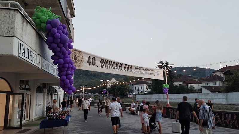 Jubilarni 40. Vinski bal počeo uz vinogradarsku janjiju i karikature