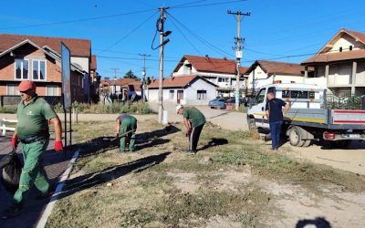 Čisti se velika deponija i zelene površine u Mrštanu