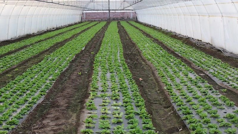 Vlasotince daje do 1,2 miliona dinara za razvoj preduzetništva u seoskim sredinama